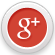 inptc google plus